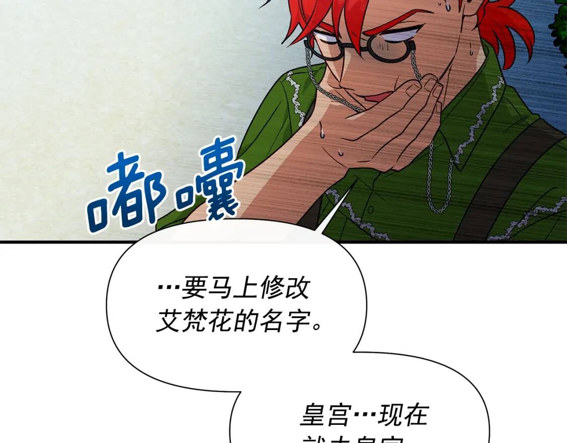 第135话 花之名124