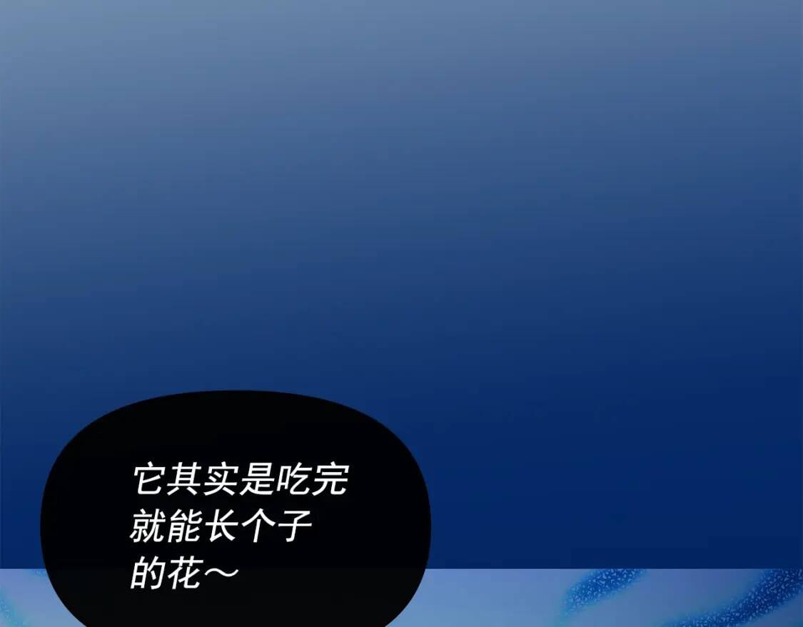 第135话 花之名68