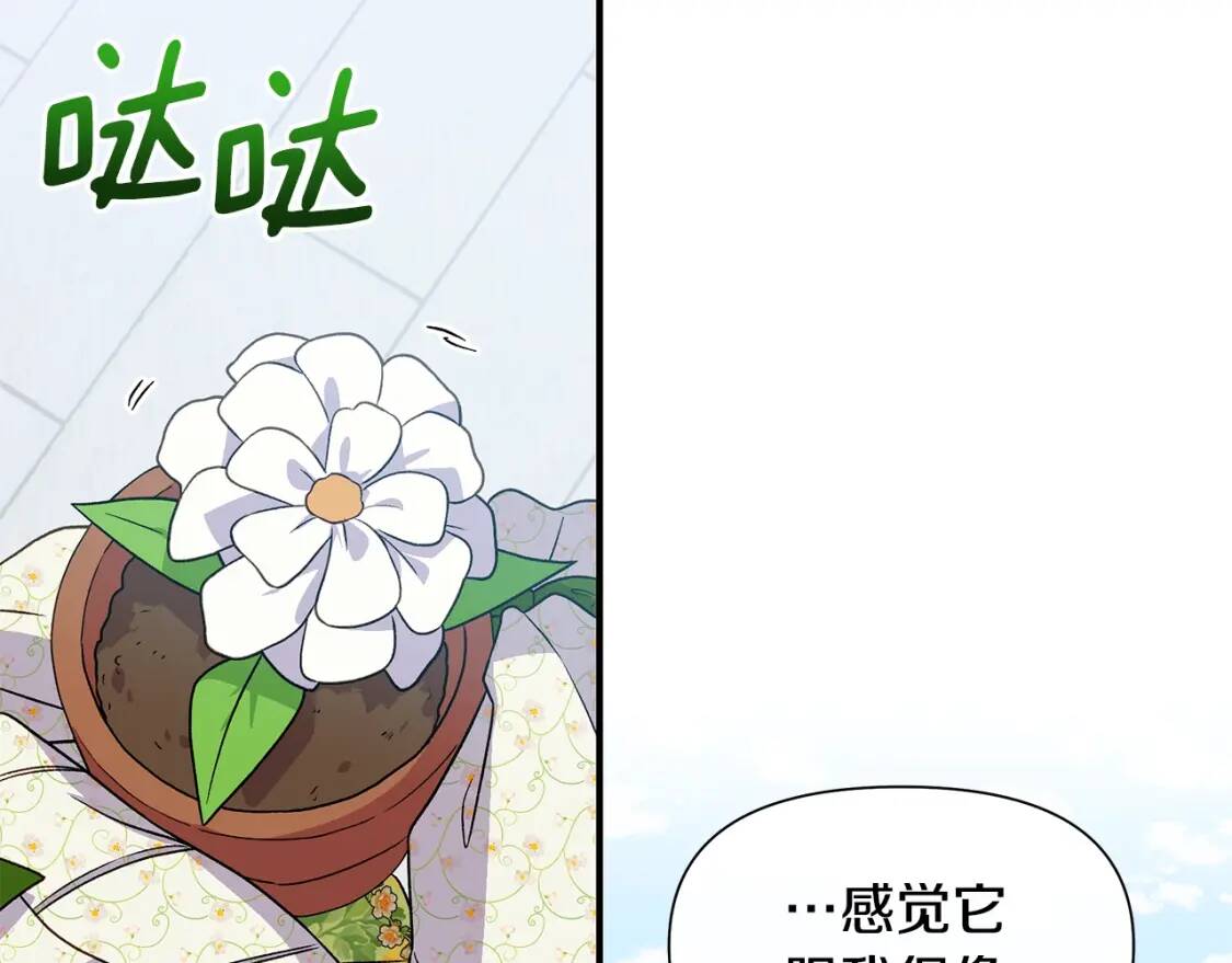 第135话 花之名14