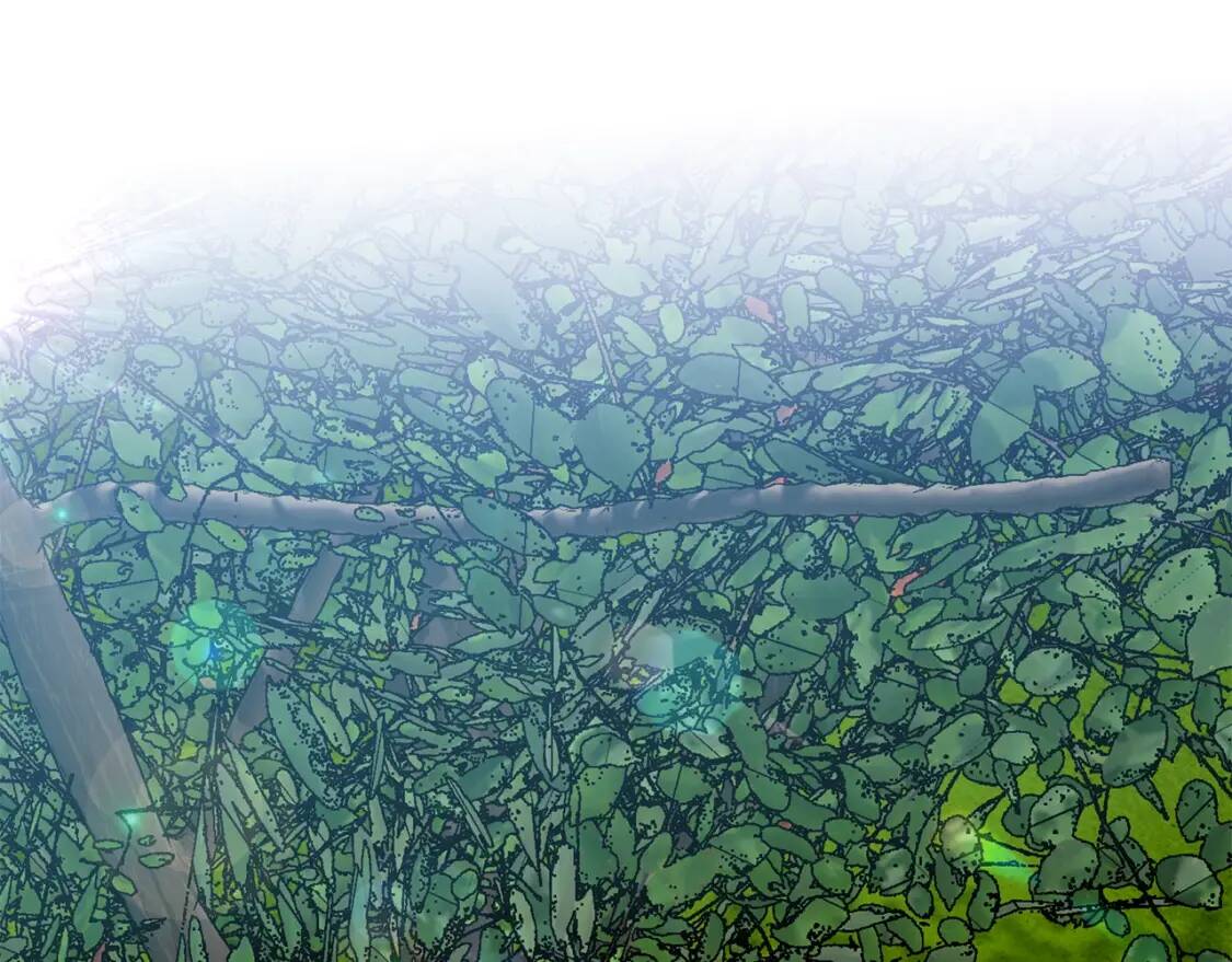 第137话 男友力89