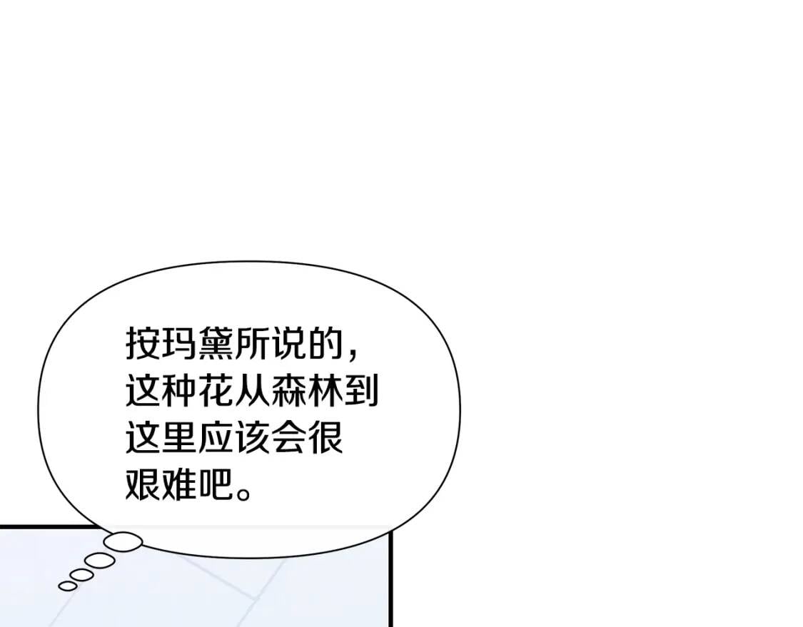 第135话 花之名13