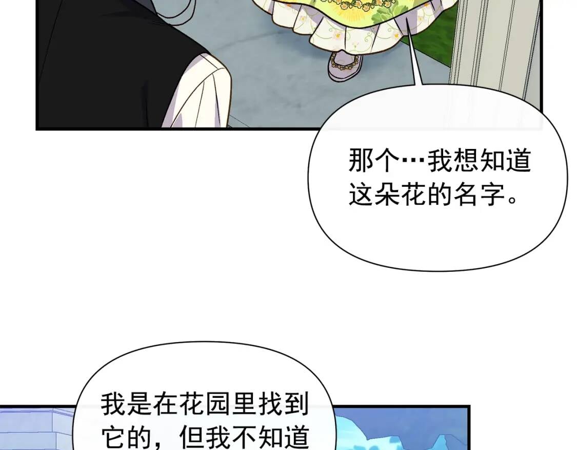 第135话 花之名78