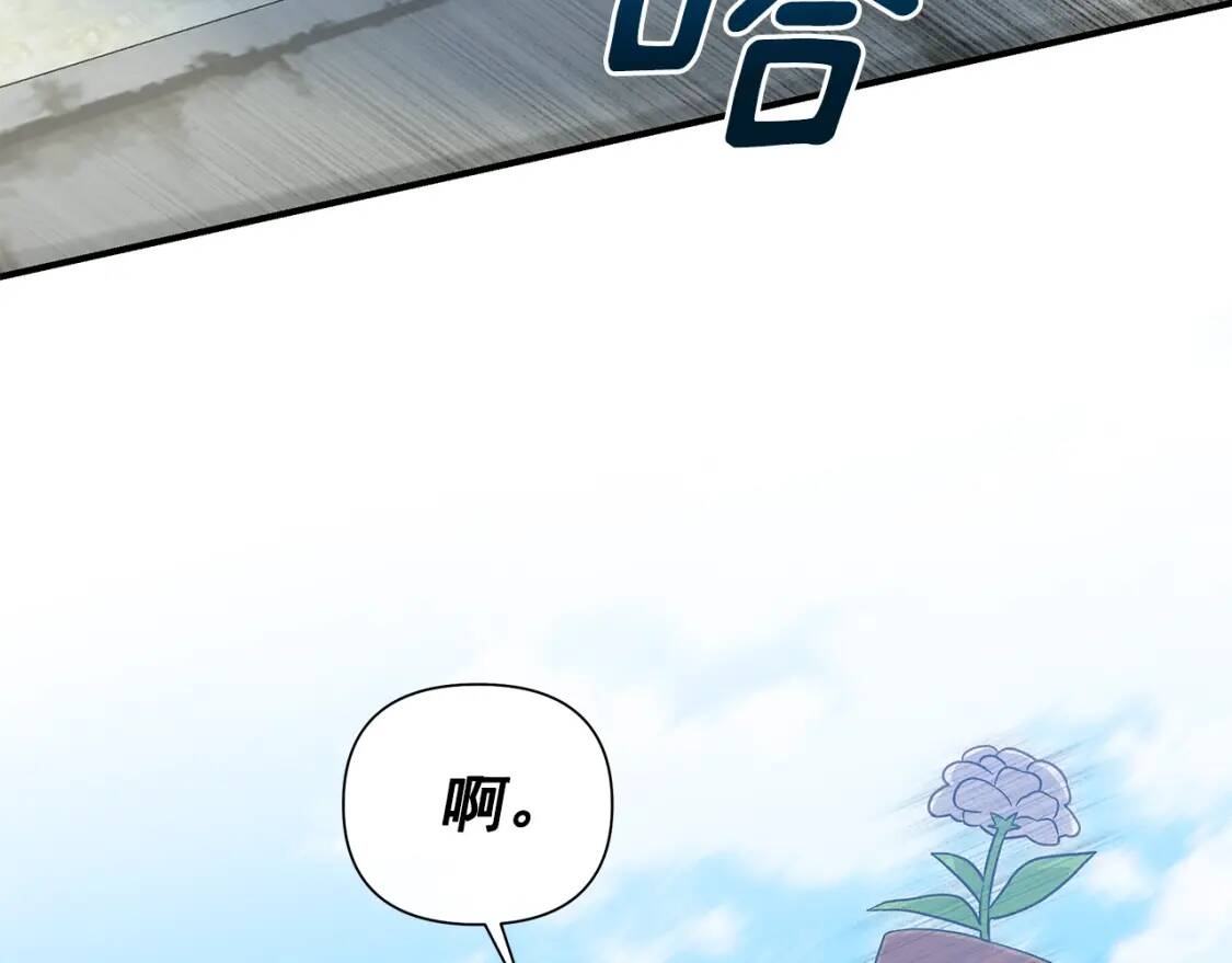 第135话 花之名132