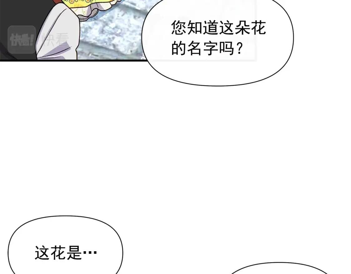 第135话 花之名39