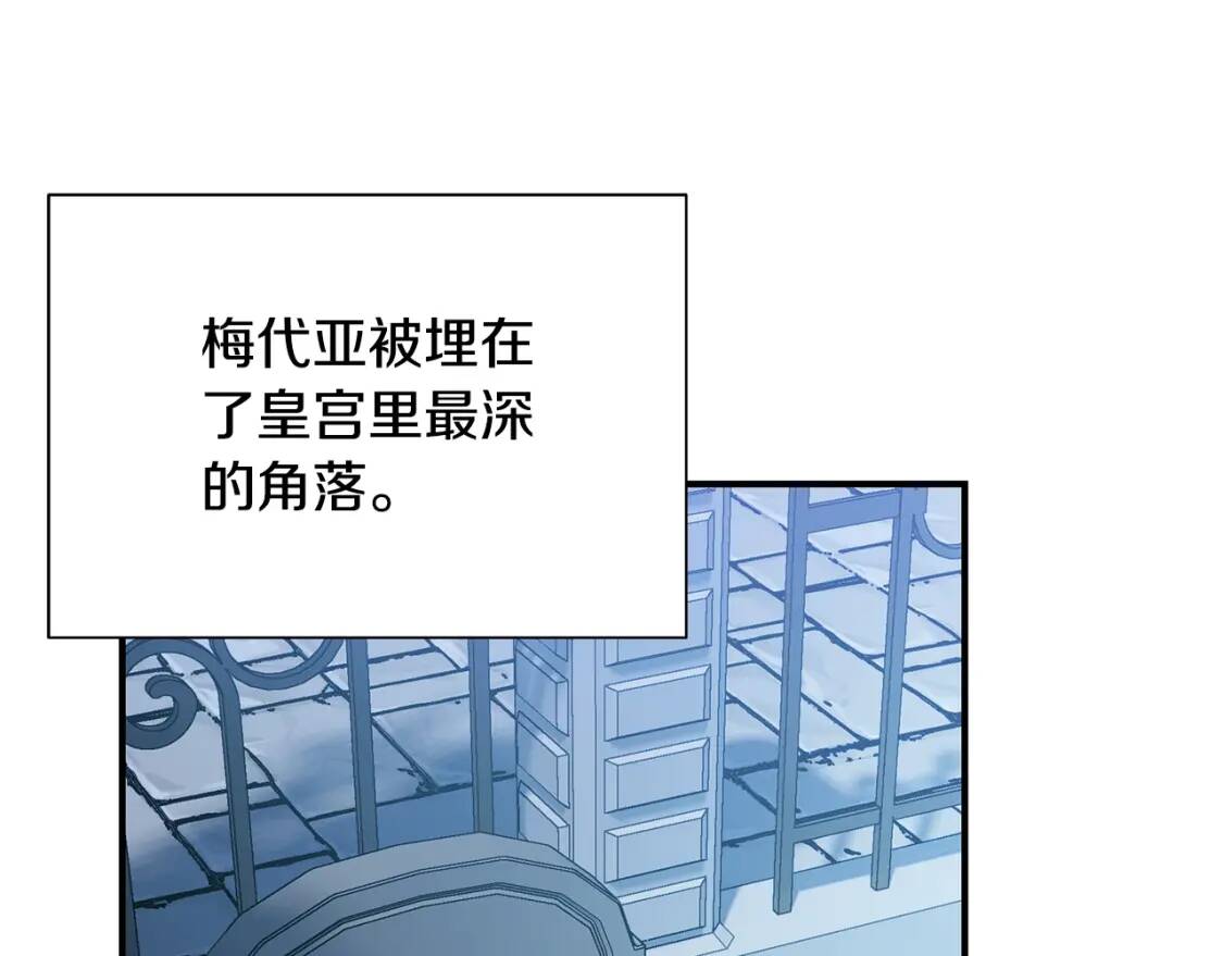 完结篇 舞会0