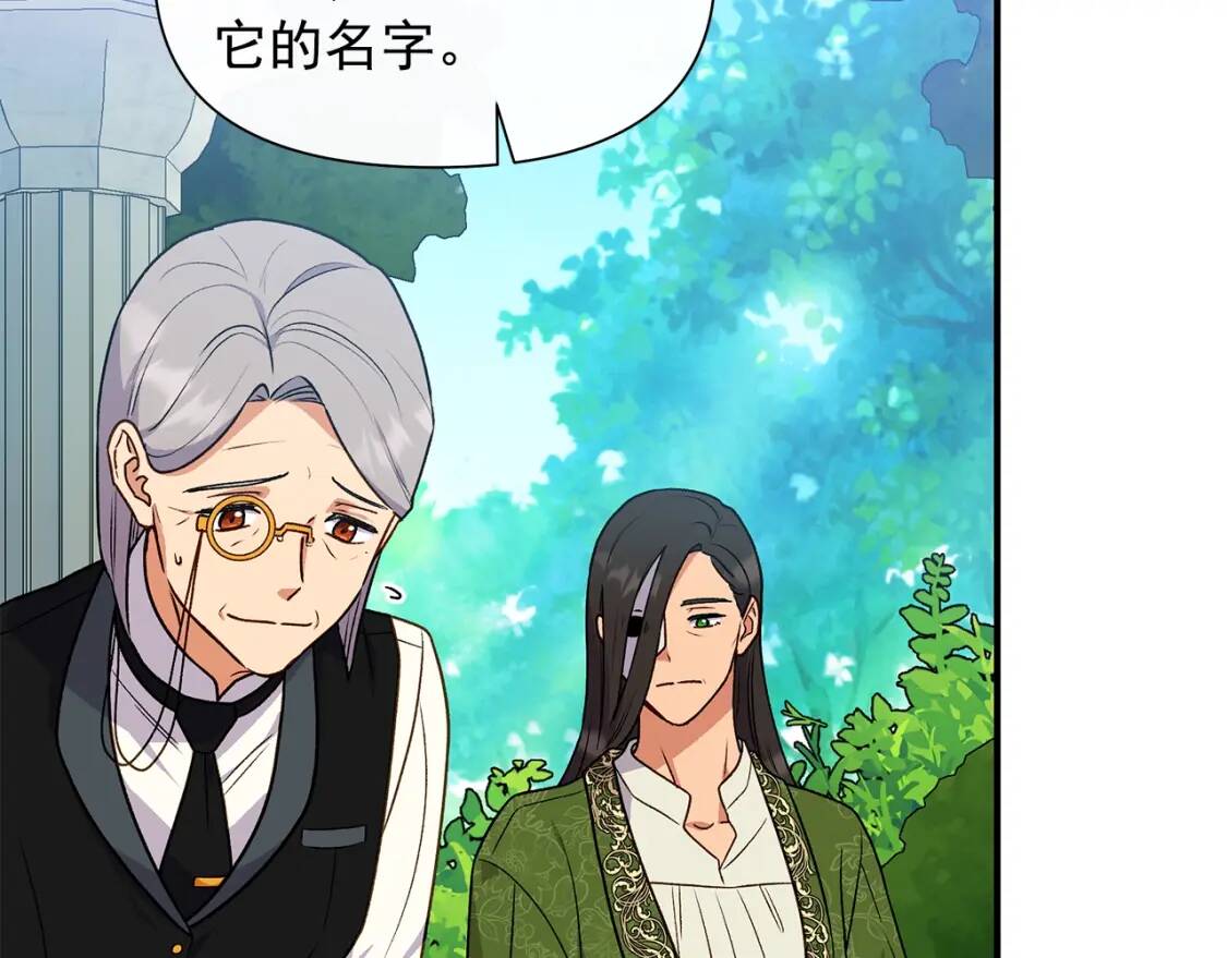 第135话 花之名79