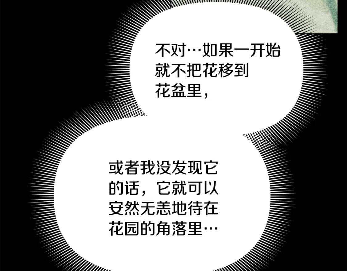 第136话 躲猫猫12