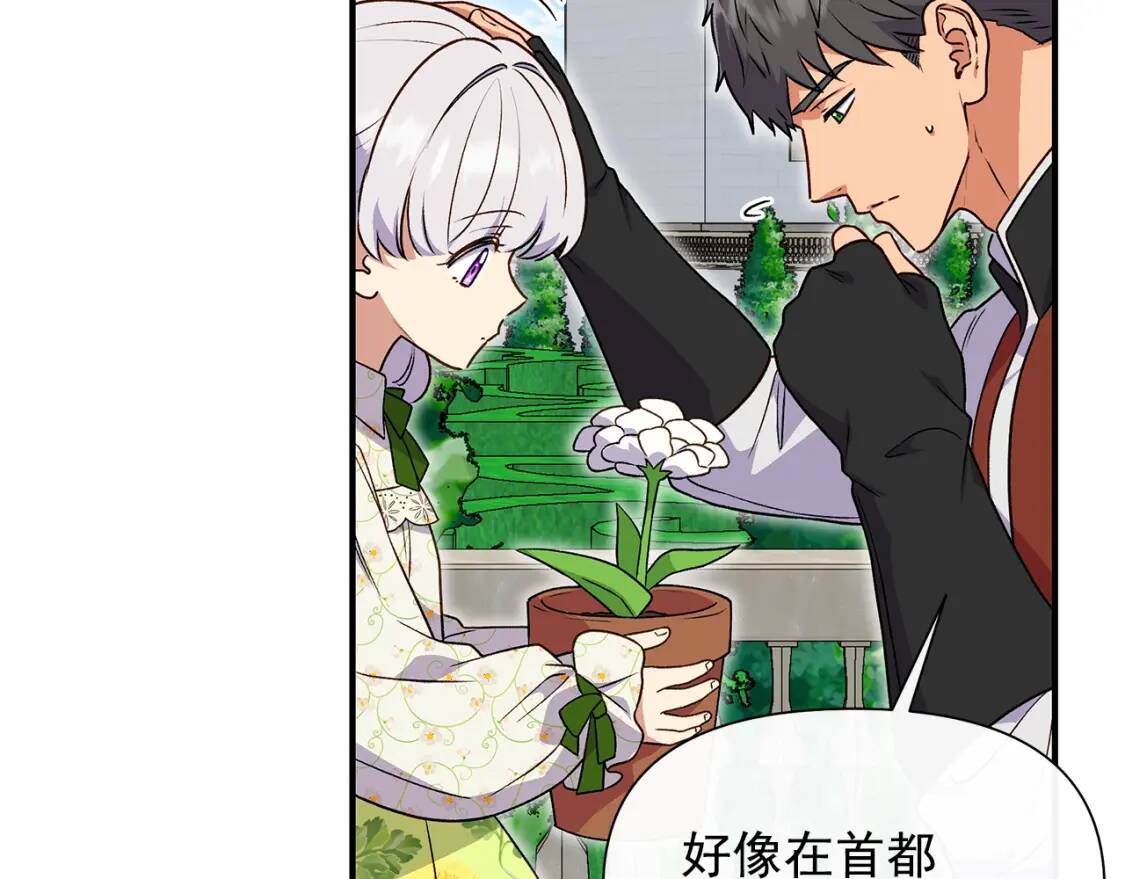 第135话 花之名23