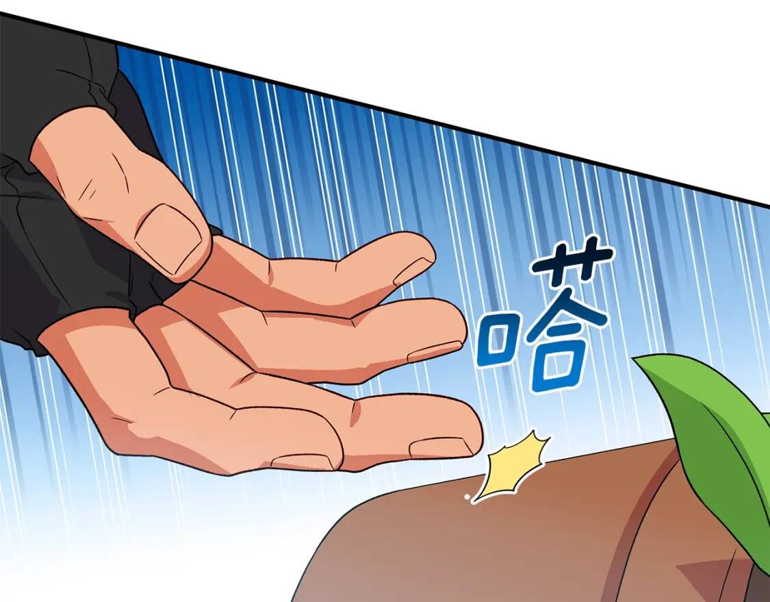 第135话 花之名146