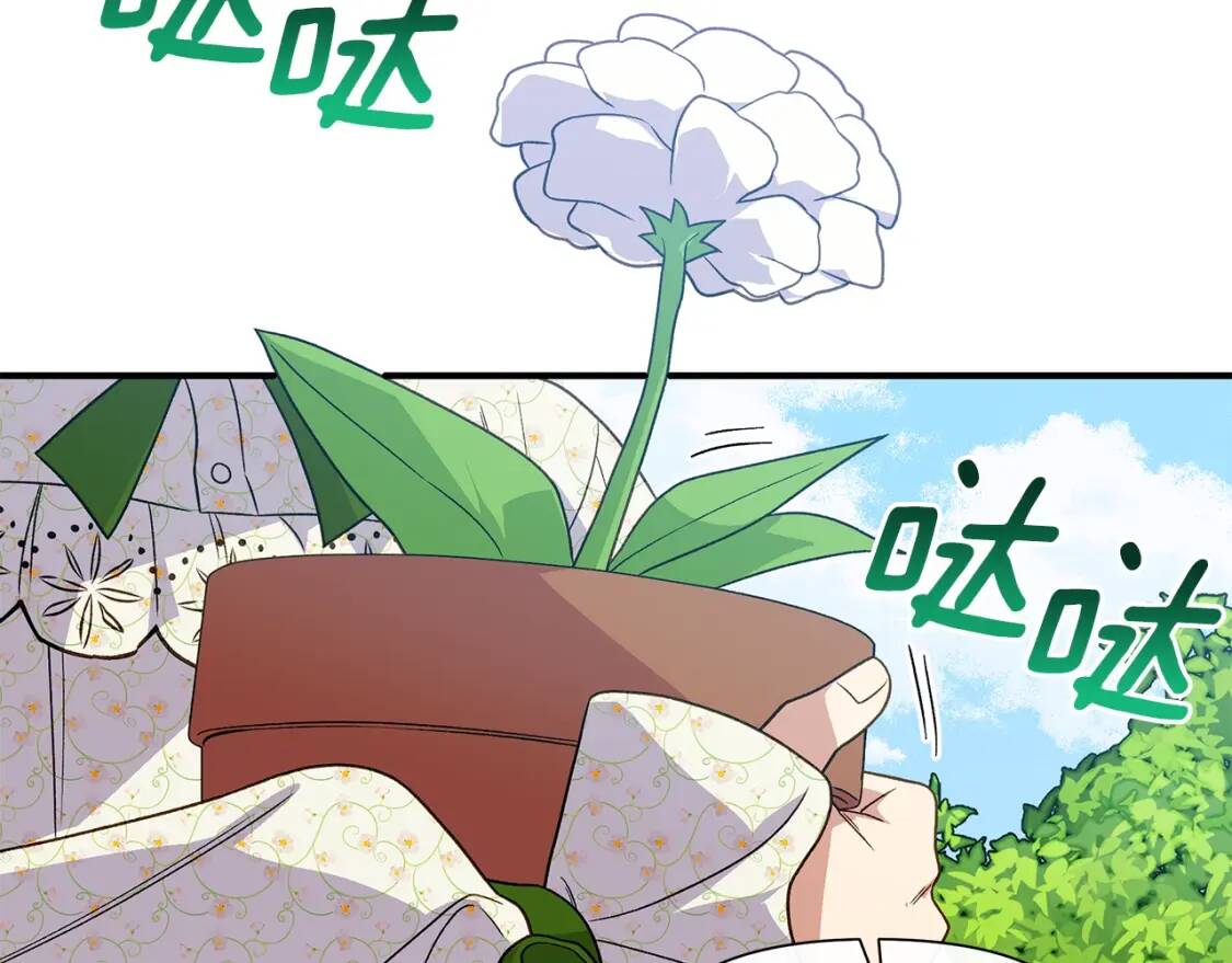 第135话 花之名98