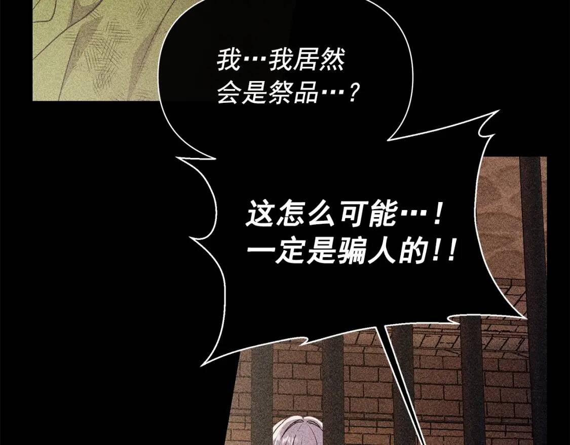 完结篇 舞会81
