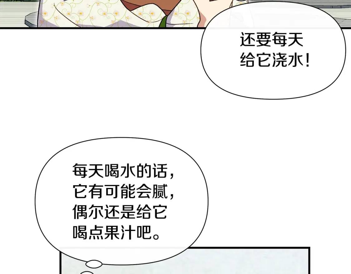 第135话 花之名128