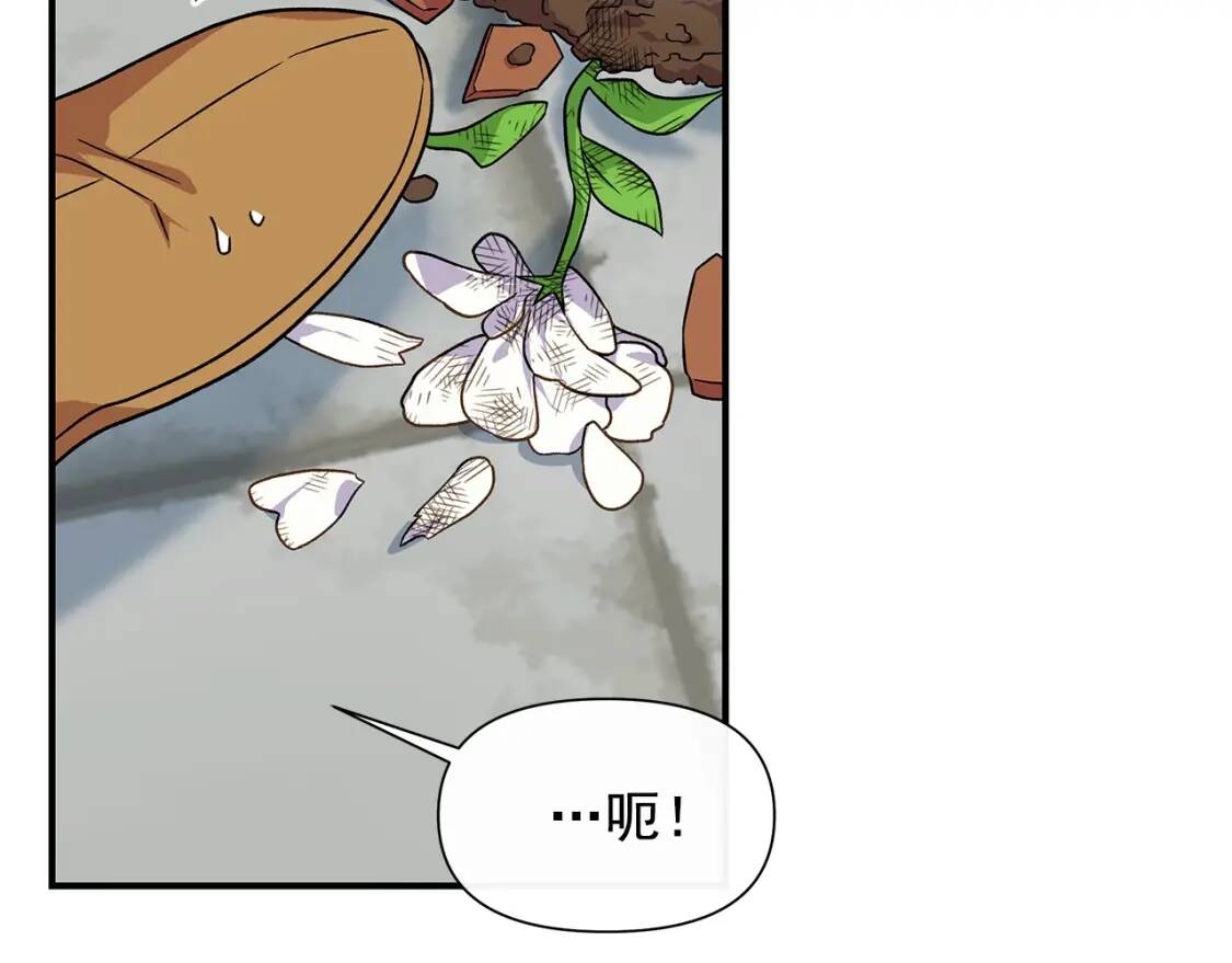 第135话 花之名154