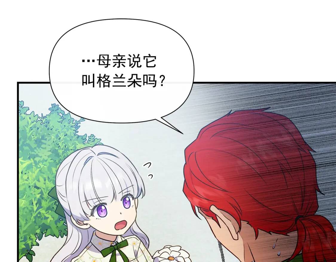 第135话 花之名113
