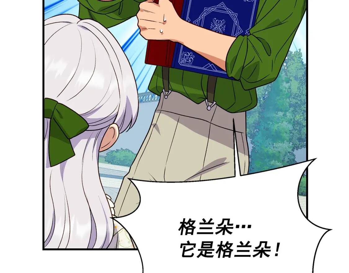 第135话 花之名118