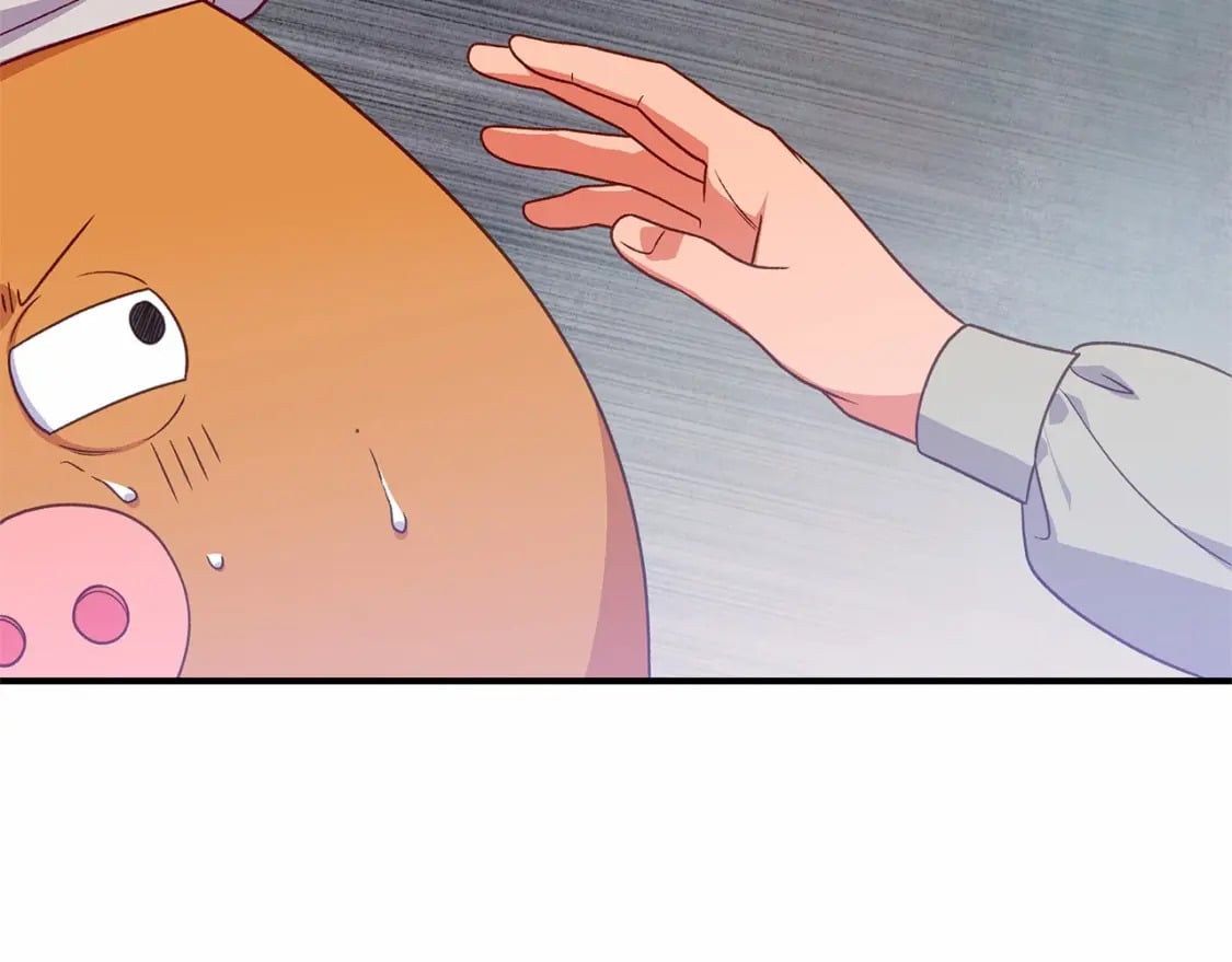 第145话 三只小猪41