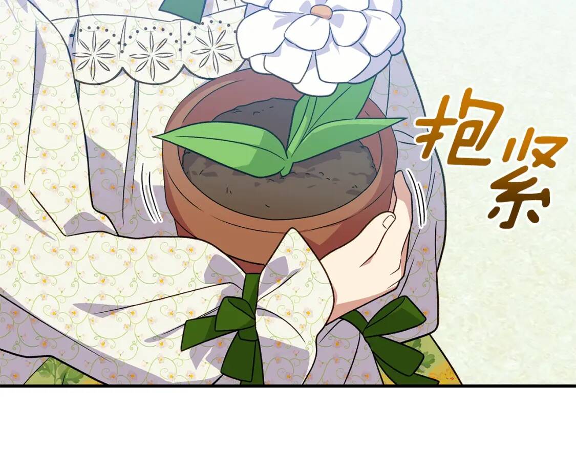 第135话 花之名59