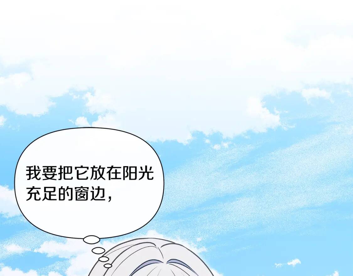 第135话 花之名126