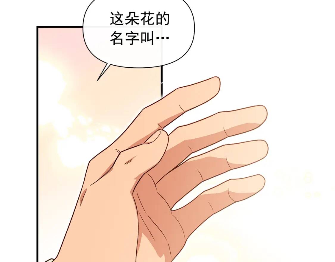 第135话 花之名83