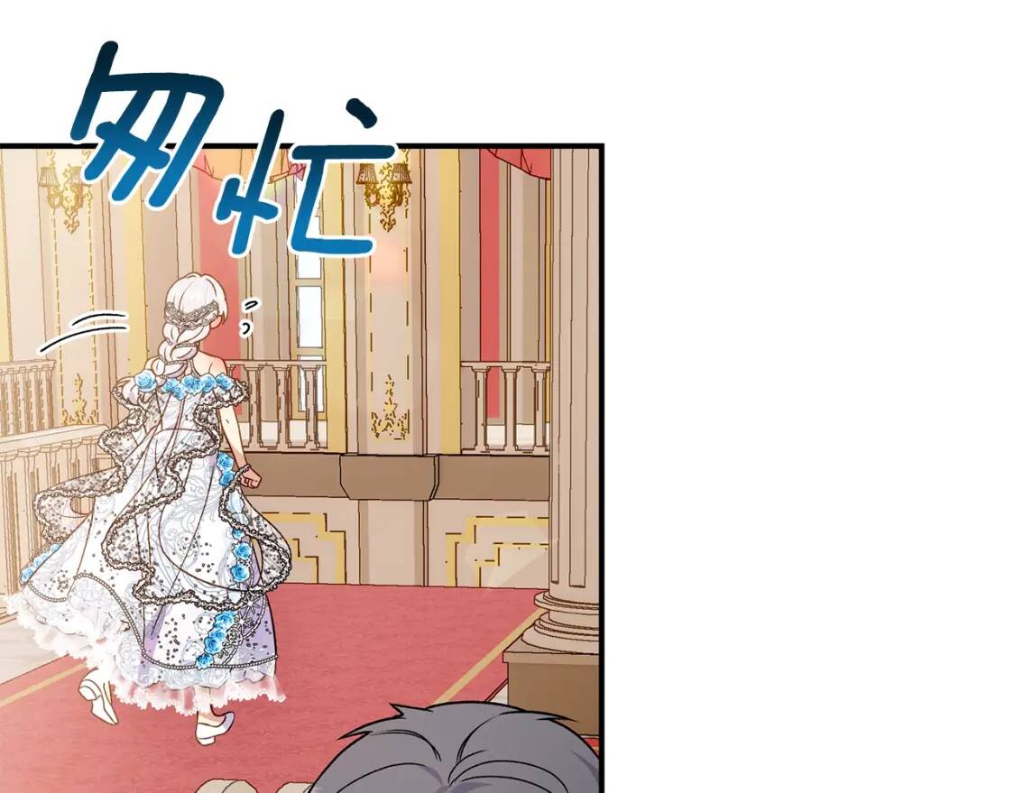 完结篇 舞会137