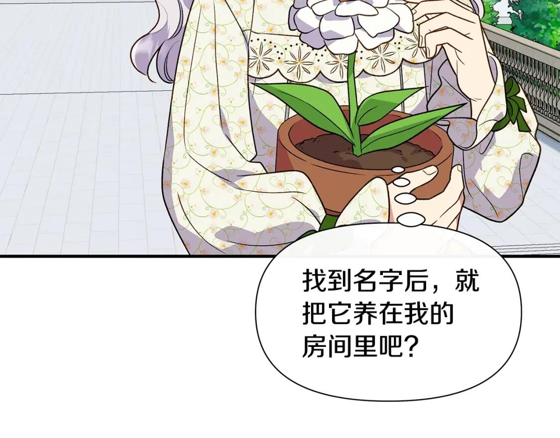 第135话 花之名16