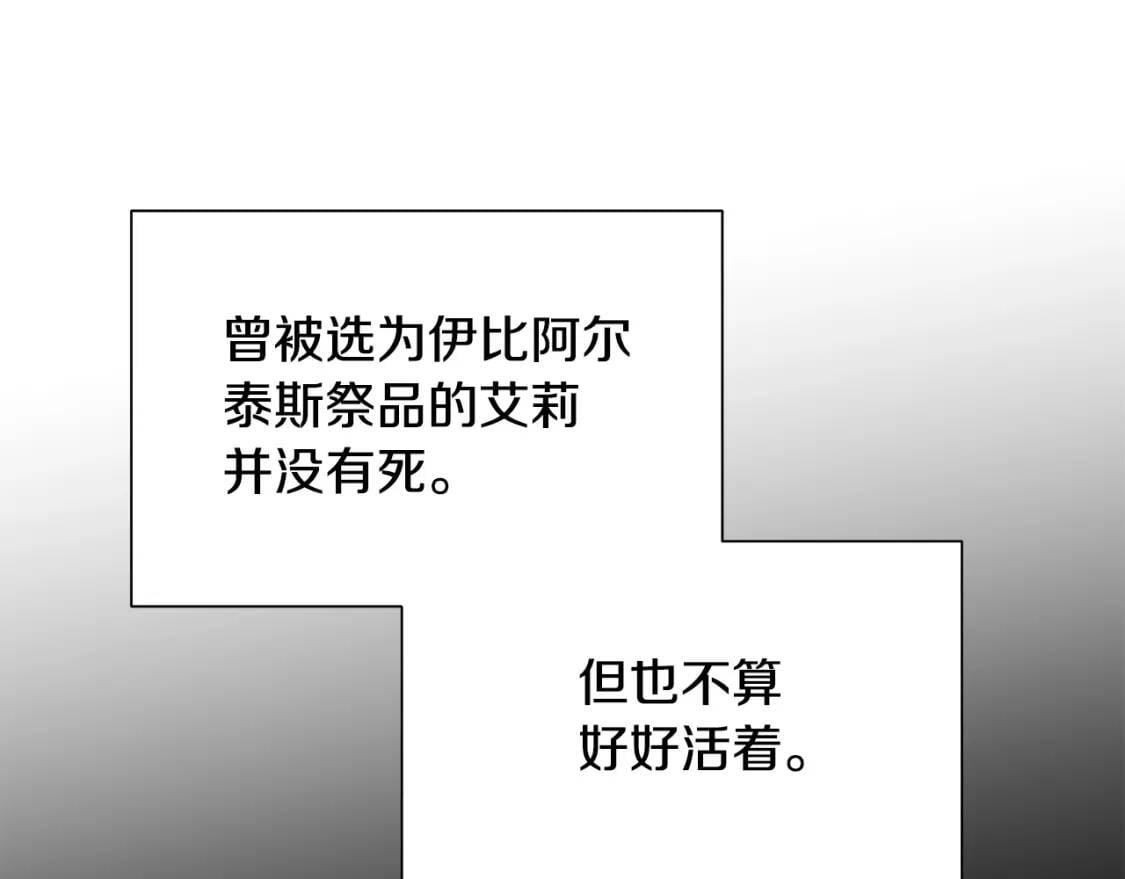 完结篇 舞会78