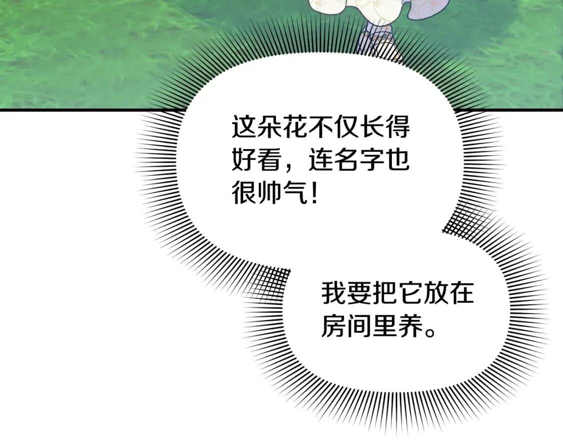 第135话 花之名93