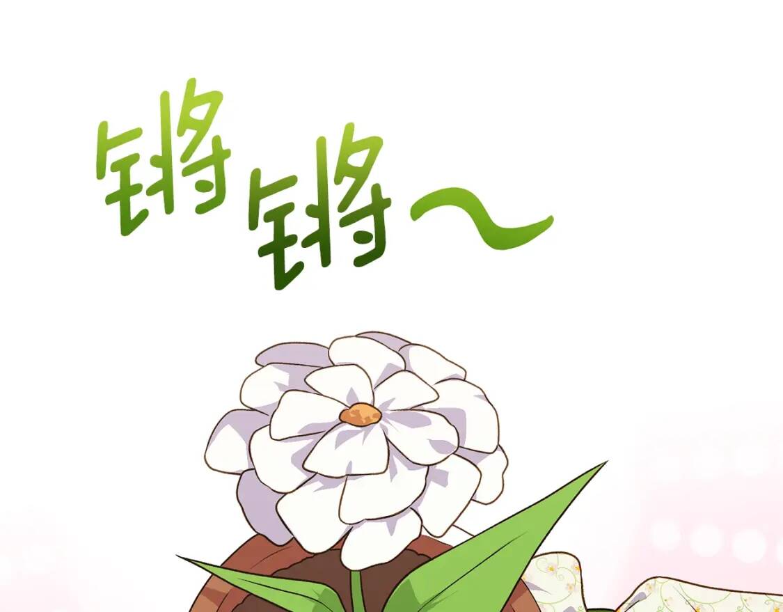 第135话 花之名0