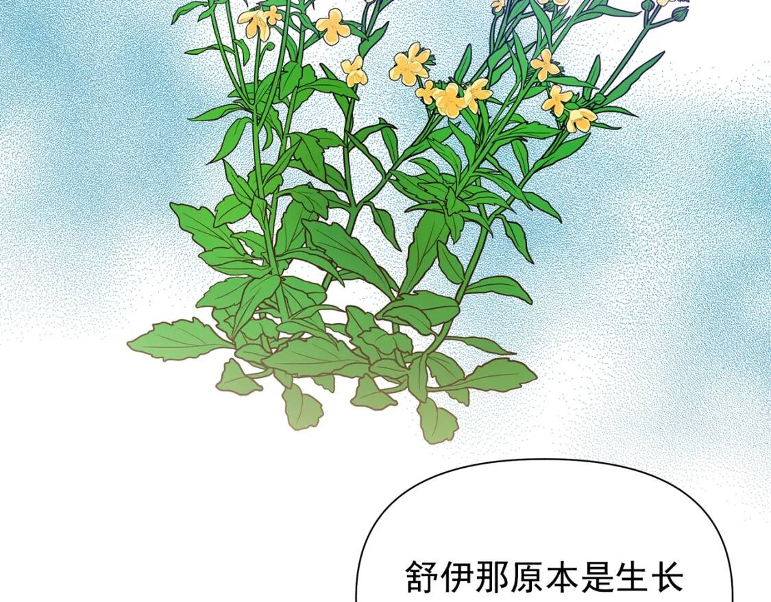 第106话 不愧是她的女儿123