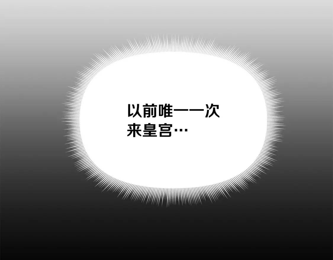 第38话 帅气的赛尔家2