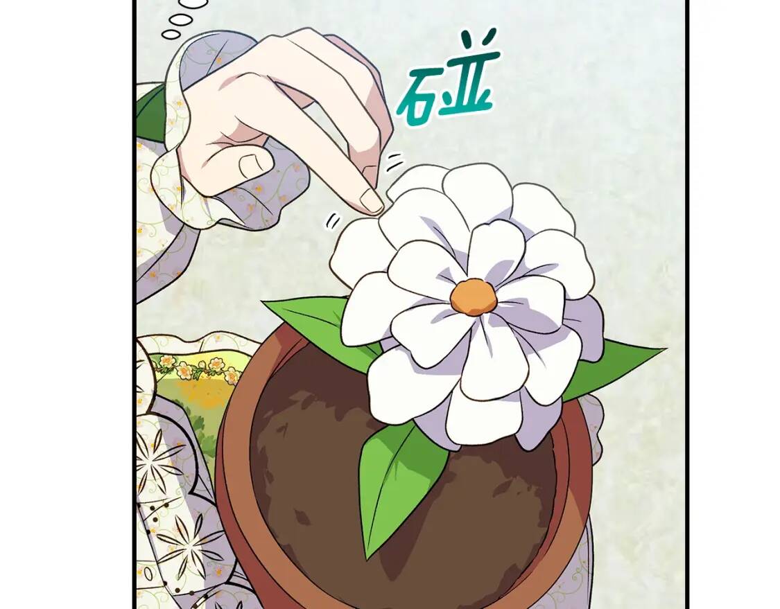 第135话 花之名129