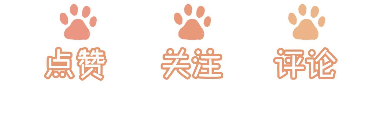 第48话 有仇必报95