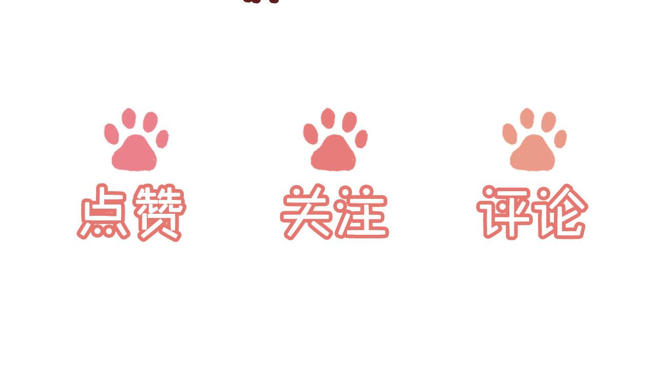 第47话 你在乎的人103