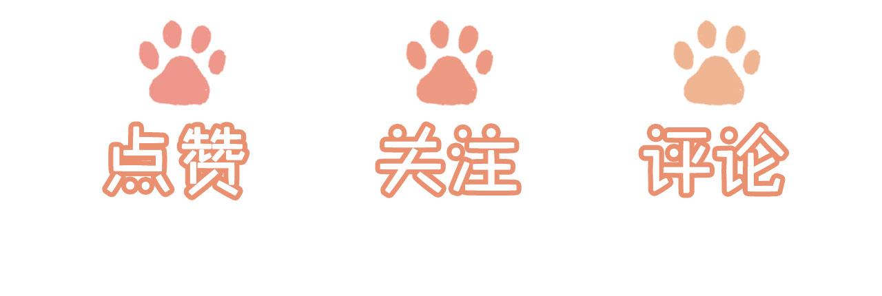第29话约会大作战106