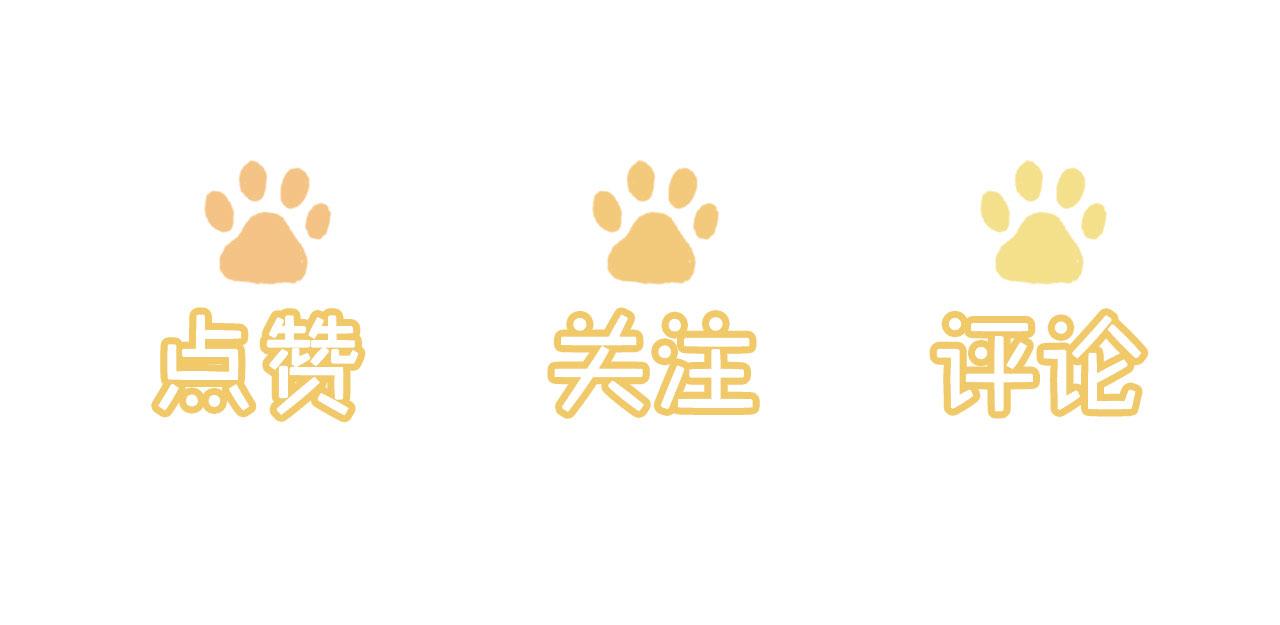 第33话崽崽长大啦133