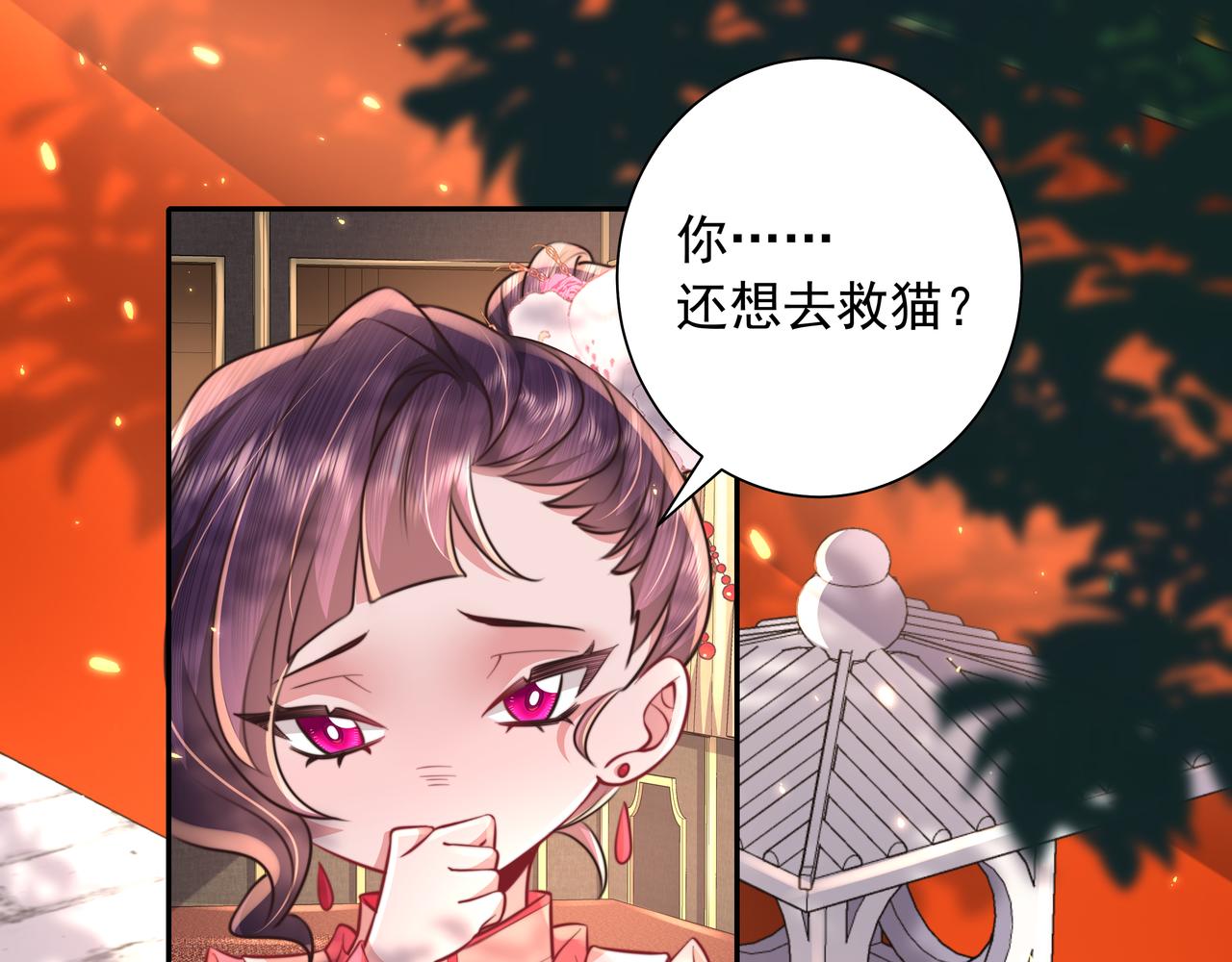 第45话 皇兄这猫真可爱27