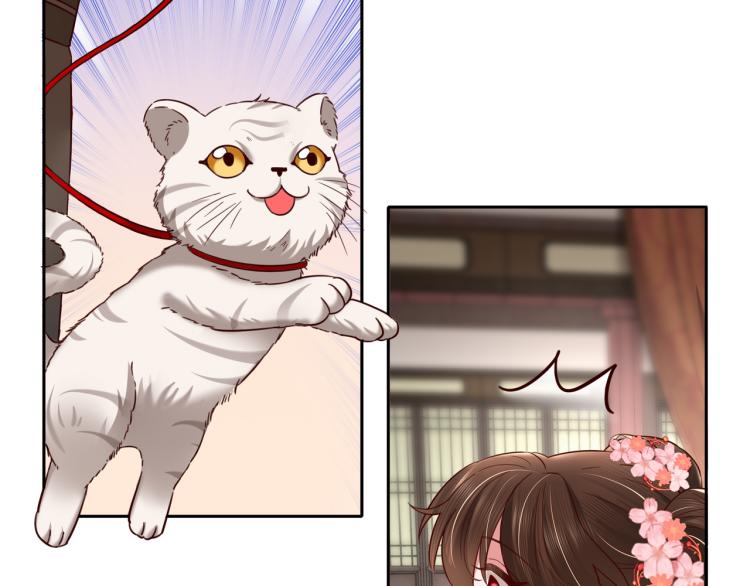 第11话 大白是老虎？26
