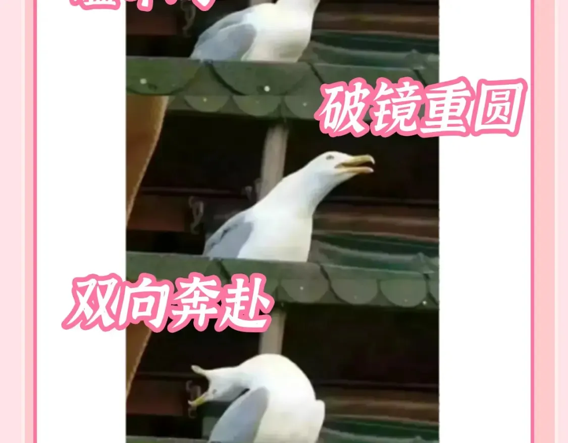 加更第129期 整活企划：寒炎（冰火cp）一些梗10