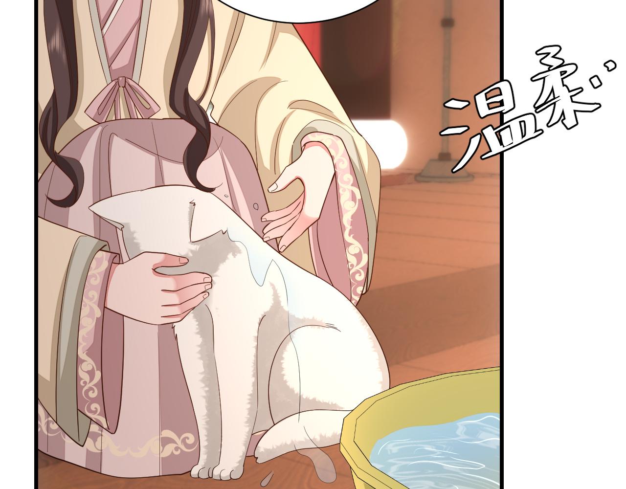 第127话 七七，你自己选62