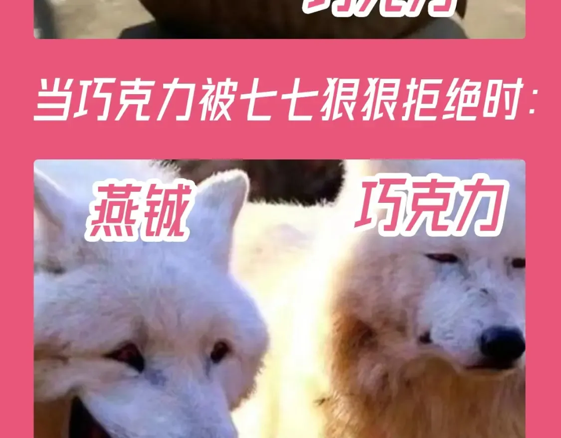 加更第112期 搞点事：老六大战巧克力6