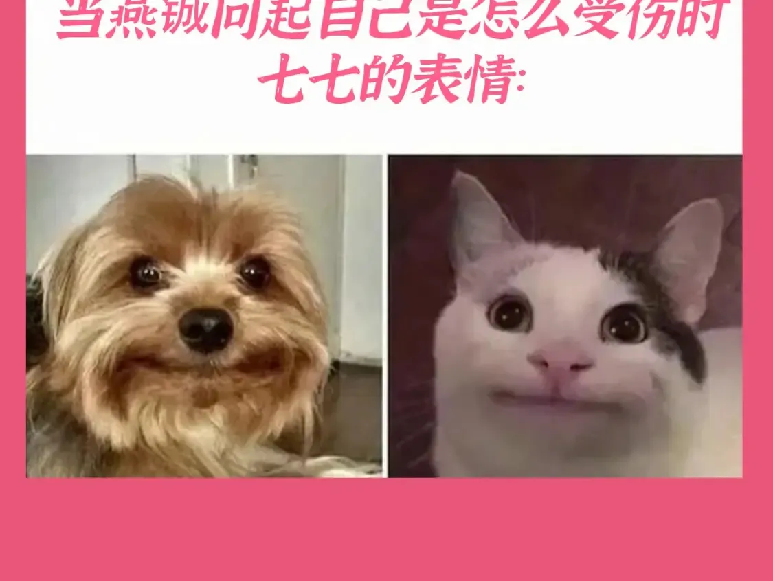 加更第105期 搞点事：玩梗炮灰是专业的5