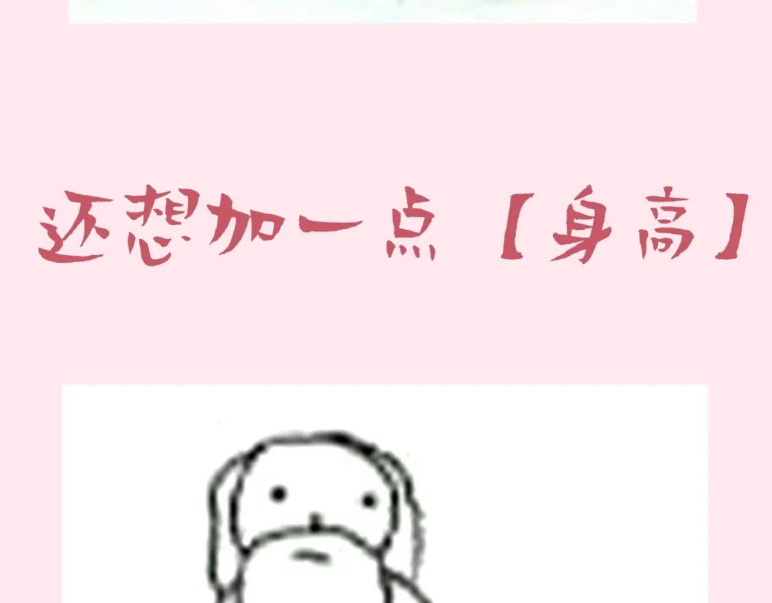 暑期加更第7期 角色构成分析【梗向】33