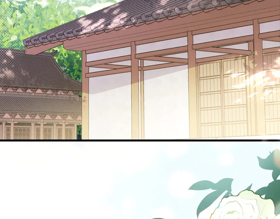 第258话 团宠七七10