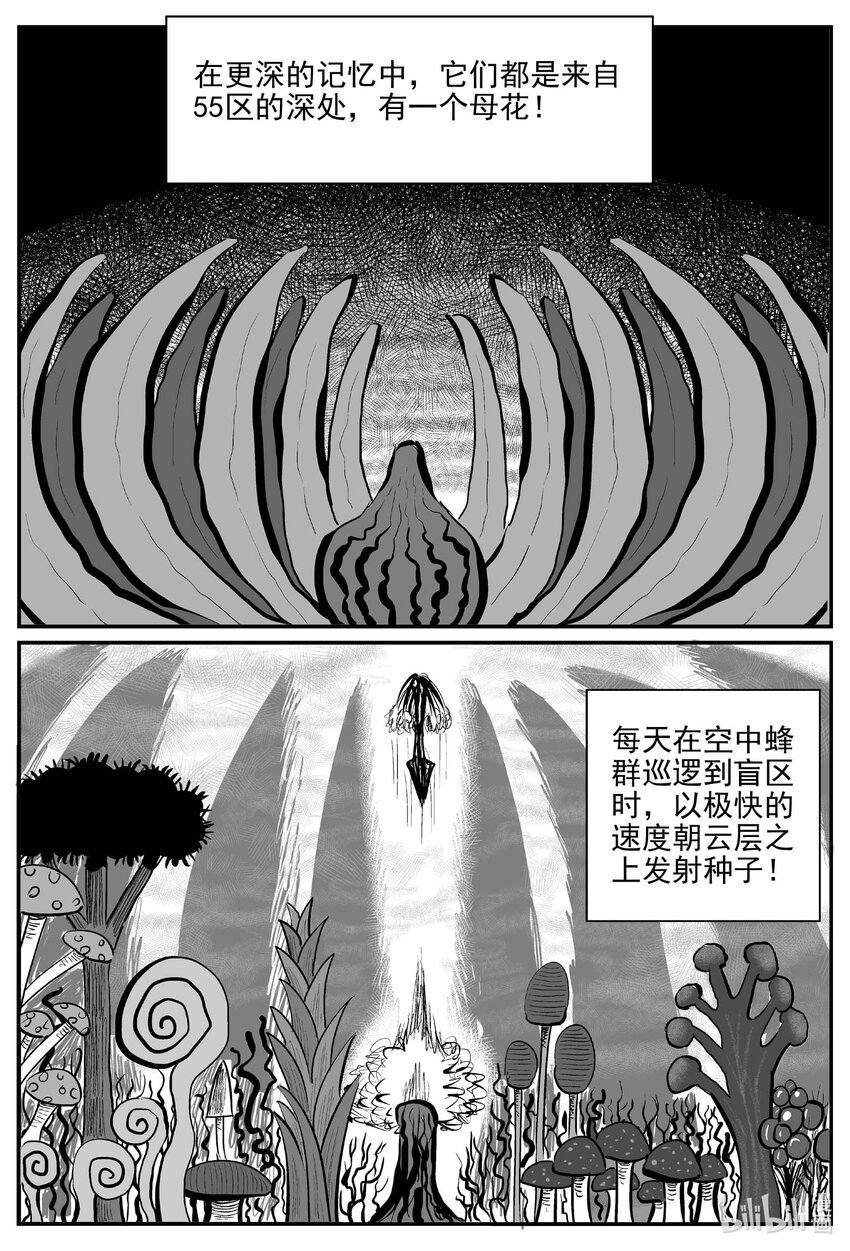 747 它88