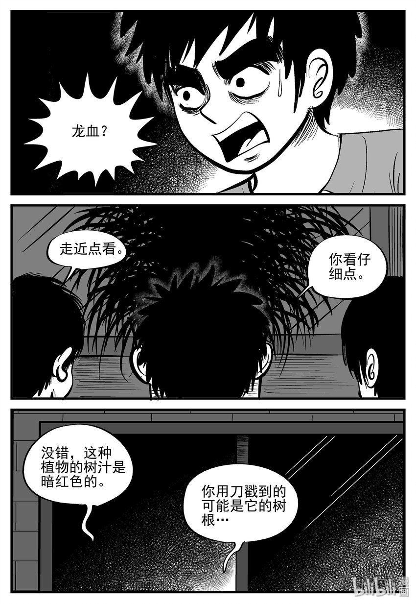 006 它2（2）5