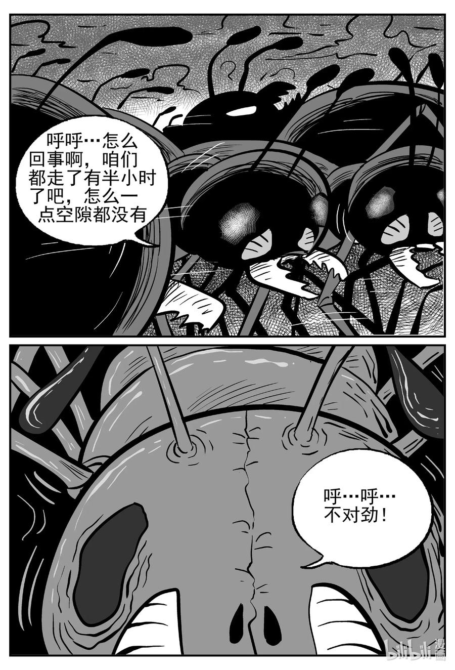 494 它713
