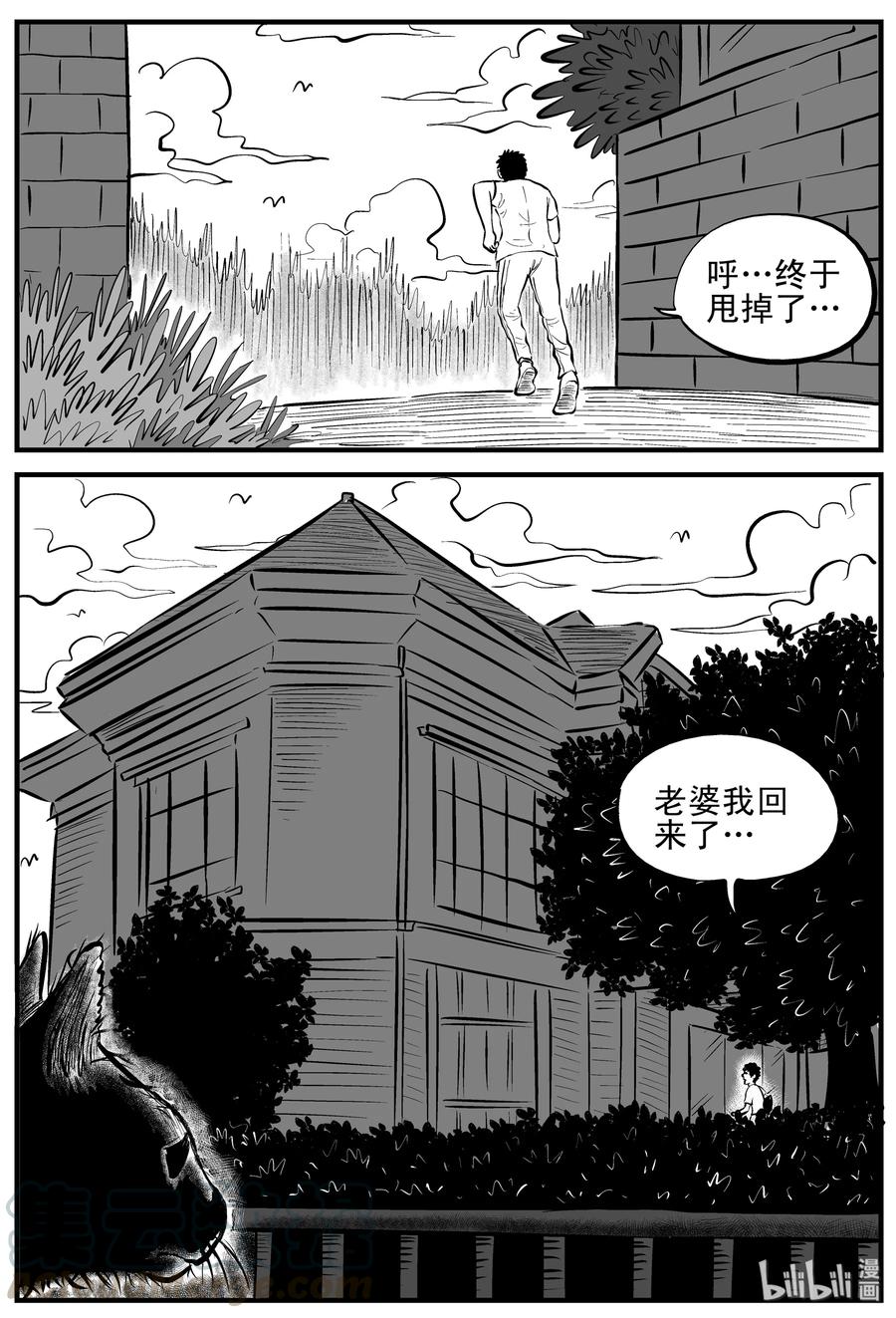 163 猫6