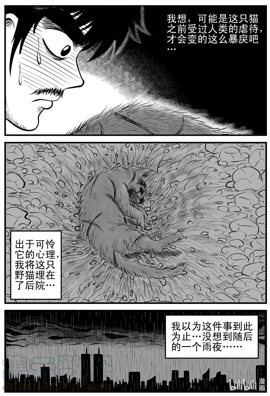 163 猫15