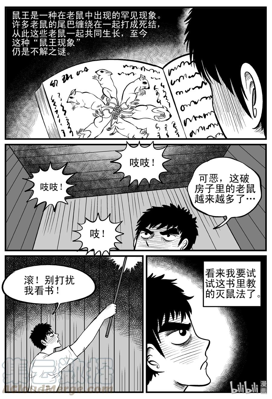 117 网+鼠王24