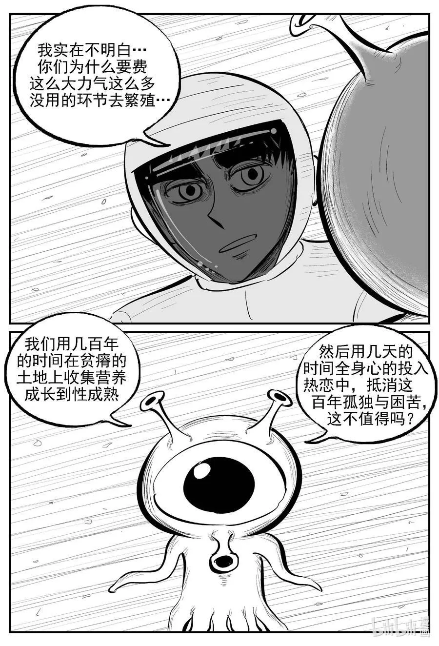981 爱之星11